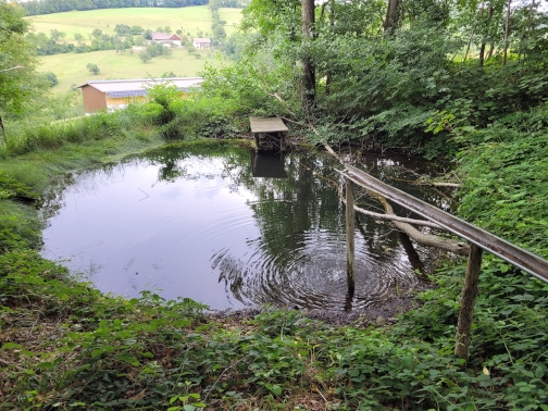 oberer Teich