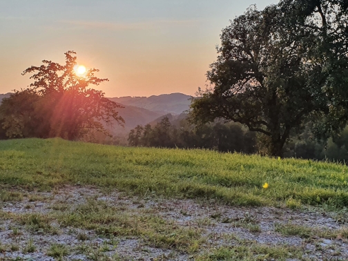 Der Sonnenuntergang