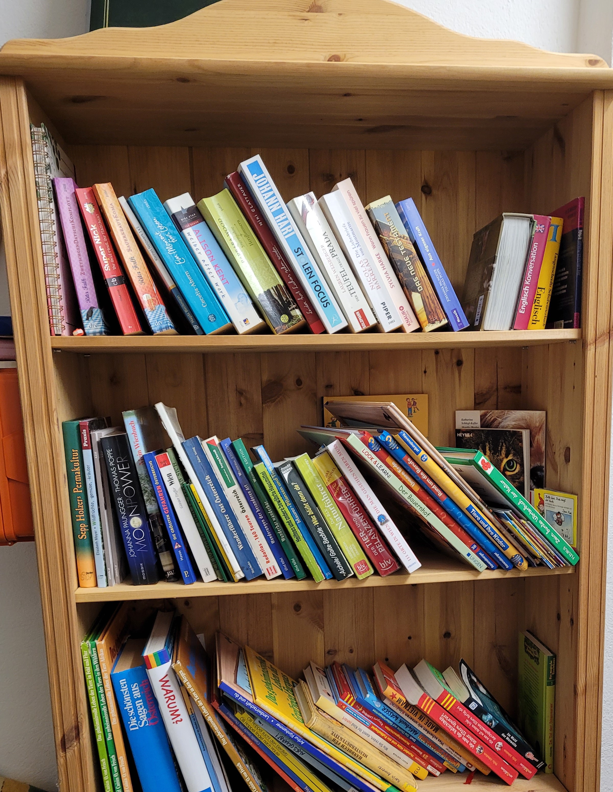 Freizeitraum: Bücher